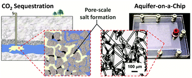 Graphical abstract: Aquifer-on-a-Chip: understanding pore-scale salt precipitation dynamics during CO2 sequestration
