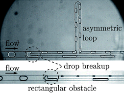 Graphical abstract: Passive breakups of isolated drops and one-dimensional assemblies of drops in microfluidic geometries: experiments and models