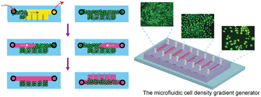 Graphical abstract: A simple and versatile microfluidic cell density gradient generator for quantum dot cytotoxicity assay