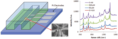Graphical abstract: In situ synthesis of silver nanoparticle decorated vertical nanowalls in a microfluidic device for ultrasensitive in-channel SERS sensing