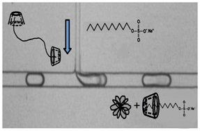 Graphical abstract: Exploring a direct injection method for microfluidic generation of polymer microgels