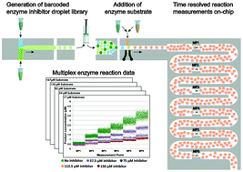 Graphical abstract: Multiplex analysis of enzyme kinetics and inhibition by droplet microfluidics using picoinjectors