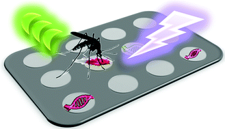 Graphical abstract: Molecular-level dengue fever diagnostic devices made out of paper