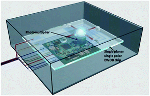 Graphical abstract: Chemiluminescence detector based on a single planar transparent digital microfluidic device
