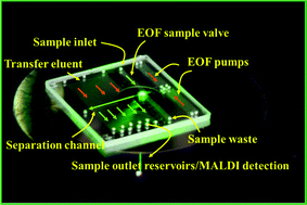 Graphical abstract: Microfluidic LC device with orthogonal sample extraction for on-chip MALDI-MS detection