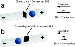 Graphical abstract: Electrochemically-gated delivery of analyte bands in microfluidic devices using bipolar electrodes