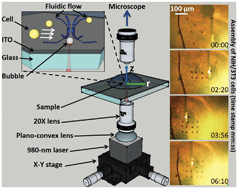 Graphical abstract: An opto-thermocapillary cell micromanipulator