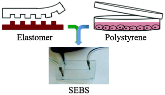 Graphical abstract: Simple replica micromolding of biocompatible styrenic elastomers