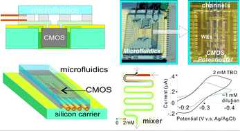 Graphical abstract: Lab-on-CMOS integration of microfluidics and electrochemical sensors