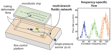 Graphical abstract: Flow switching in microfluidic networks using passive features and frequency tuning