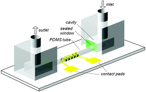 Graphical abstract: Vapour processed self-rolled poly(dimethylsiloxane) microcapillaries form microfluidic devices with engineered inner surface