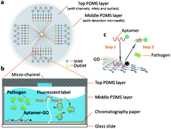 Graphical abstract: A PDMS/paper/glass hybrid microfluidic biochip integrated with aptamer-functionalized graphene oxide nano-biosensors for one-step multiplexed pathogen detection