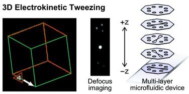 Graphical abstract: Electrokinetic tweezing: three-dimensional manipulation of microparticles by real-time imaging and flow control