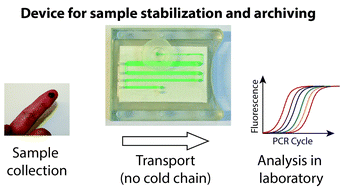 Graphical abstract: A microfluidic device for dry sample preservation in remote settings