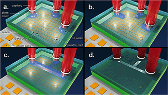 Graphical abstract: A programmable and reconfigurable microfluidic chip