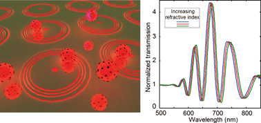 Graphical abstract: Plasmonic interferometric sensor arrays for high-performance label-free biomolecular detection