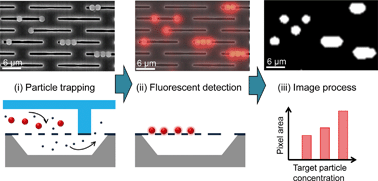 Graphical abstract: Nanoslit membrane-integrated fluidic chip for protein detection based on size-dependent particle trapping