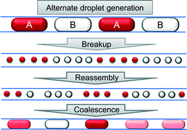 Graphical abstract: Combinatorial generation of droplets by controlled assembly and coalescence