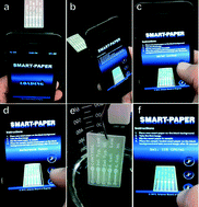 Graphical abstract: Smartphone quantifies Salmonella from paper microfluidics