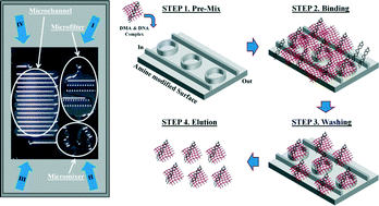 Graphical abstract: Solid phase nucleic acid extraction technique in a microfluidic chip using a novel non-chaotropic agent: dimethyl adipimidate