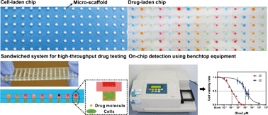 Graphical abstract: Micro-scaffold array chip for upgrading cell-based high-throughput drug testing to 3D using benchtop equipment