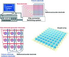 Graphical abstract: Droplet array on local redox cycling-based electrochemical (LRC-EC) chip device