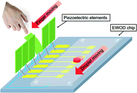 Graphical abstract: EWOD (electrowetting on dielectric) digital microfluidics powered by finger actuation