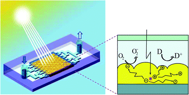 Graphical abstract: Microfluidic reactors for photocatalytic water purification