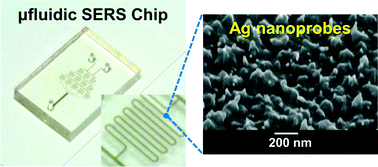 Graphical abstract: Optofluidic SERS chip with plasmonic nanoprobes self-aligned along microfluidic channels