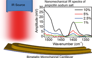 Graphical abstract: Nanomechanical identification of liquid reagents in a microfluidic channel