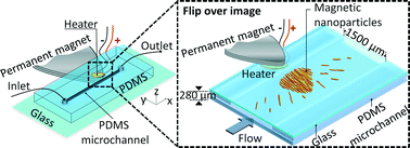 Graphical abstract: Investigation of different nanoparticles for magnetophoretically enabled nanofin heat sinks in microfluidics