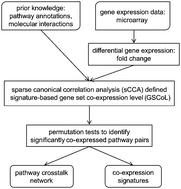 Graphical abstract: Inferring pathway crosstalk networks using gene set co-expression signatures