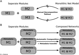 Graphical abstract: JAK/STAT signalling – an executable model assembled from molecule-centred modules demonstrating a module-oriented database concept for systems and synthetic biology
