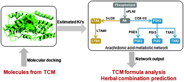 Graphical abstract: Understanding traditional Chinese medicine anti-inflammatory herbal formulae by simulating their regulatory functions in the human arachidonic acid metabolic network
