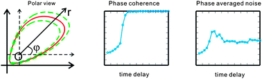 Graphical abstract: Delay-managed tradeoff in the molecular dynamics of the segmentation clock