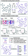 Graphical abstract: A network-based, integrative approach to identify genes with aberrant co-methylation in colorectal cancer
