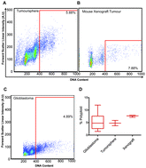 Graphical abstract: Hyperdiploid tumor cells increase phenotypic heterogeneity within Glioblastoma tumors