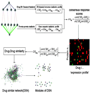Graphical abstract: Drug repositioning by applying ‘expression profiles’ generated by integrating chemical structure similarity and gene semantic similarity
