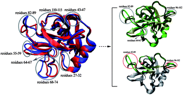 Graphical abstract: Energy minimized crystal structures of P-selectins based on molecular dynamics simulation: leading to two average structures capable of designing anti-thrombotic agents
