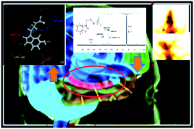 Graphical abstract: Synthesis, docking and preliminary in vivo evaluation of serotonin dithiocarbamate as novel SPECT neuroimaging agent