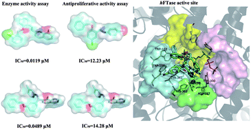 Graphical abstract: Discovery of novel inhibitors for human farnesyltransferase (hFTase) via structure-based virtual screening