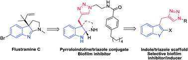 Graphical abstract: Indole–triazole conjugates are selective inhibitors and inducers of bacterial biofilms