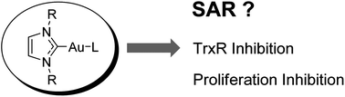 Graphical abstract: TrxR inhibition and antiproliferative activities of structurally diverse gold N-heterocyclic carbene complexes
