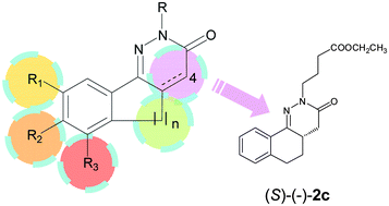 Graphical abstract: Synthesis, structure–activity relationships and stereochemical investigations of new tricyclic pyridazinone derivatives as potential STAT3 inhibitors