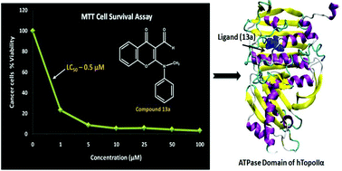 Graphical abstract: 3-Formylchromone based topoisomerase IIα inhibitors: discovery of potent leads