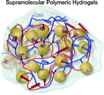 Graphical abstract: Supramolecular host–guest polymeric materials for biomedical applications