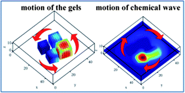 Graphical abstract: Forming self-rotating pinwheels from assemblies of oscillating polymer gels