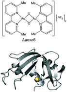 Graphical abstract: Interactions of gold-based drugs with proteins: crystal structure of the adduct formed between ribonuclease A and a cytotoxic gold(iii) compound