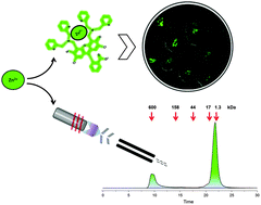 Graphical abstract: Selectivity and specificity of small molecule fluorescent dyes/probes used for the detection of Zn2+ and Ca2+ in cells