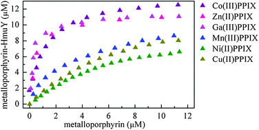 Graphical abstract: The Porphyromonas gingivalis HmuY haemophore binds gallium(iii), zinc(ii), cobalt(iii), manganese(iii), nickel(ii), and copper(ii) protoporphyrin IX but in a manner different to iron(iii) protoporphyrin IX
